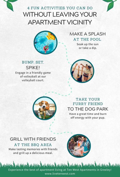 4 Fun Activities You Can Do Without Leaving Your Apartment Vicinity Infographic