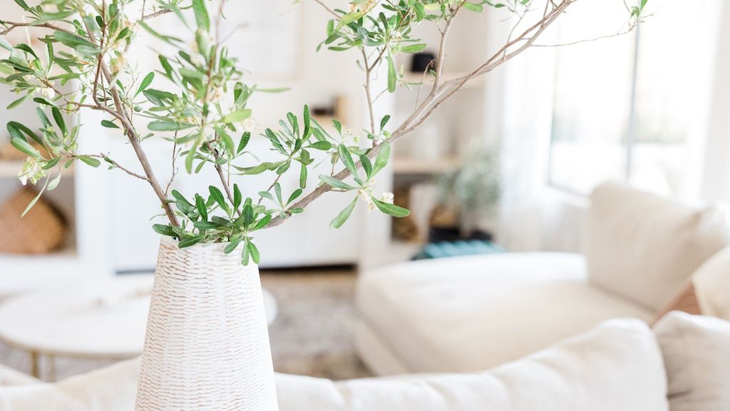 BG (4).jpg