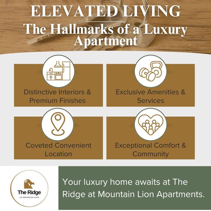 an infographic that lists the criteria of a luxury apartment an infographic that lists the criteria of a luxury apartment