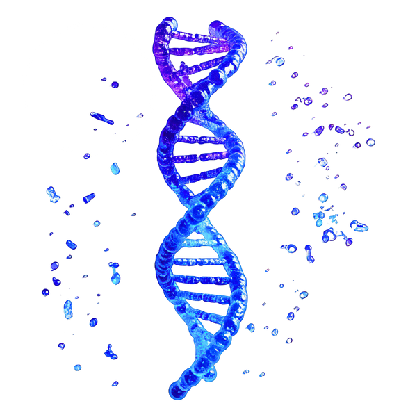 A blue and purple DNA double helix structure with water droplets around it on a white background.