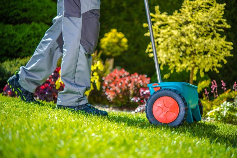 croquet lawn maintenance