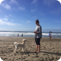 Dog trainer using remote collar to train dog off-leash at a San Diego beach