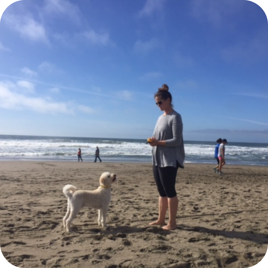 Dog trainer using remote collar to train dog off-leash at a San Diego beach