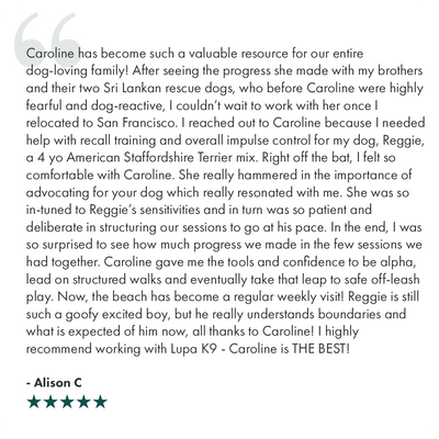 review 9.png