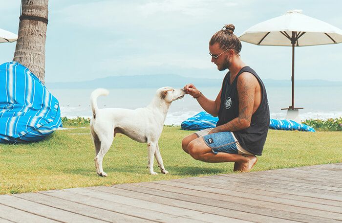 Ttraining a dog to stop guarding food in San Diego
