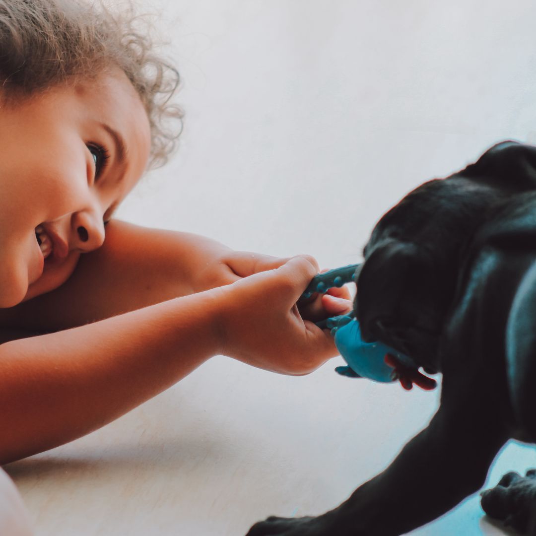 Young child playing joyfully with a friendly dog in a safe supervised setting