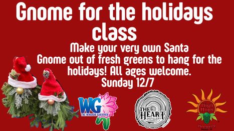 Gnome for the holidays.jpg