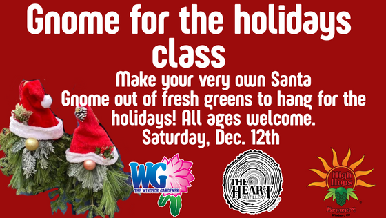 Gnome for the holidays (1).png