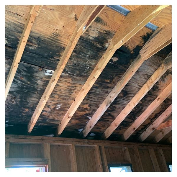 Attic ceiling showing signs of moisture damage and mold growth