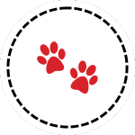 dog training icon. dog training icon.