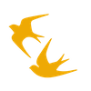 Birds.png