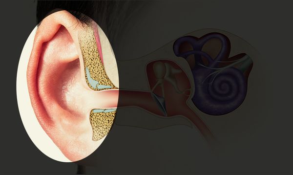 outer-ear-606def3886623.jpg