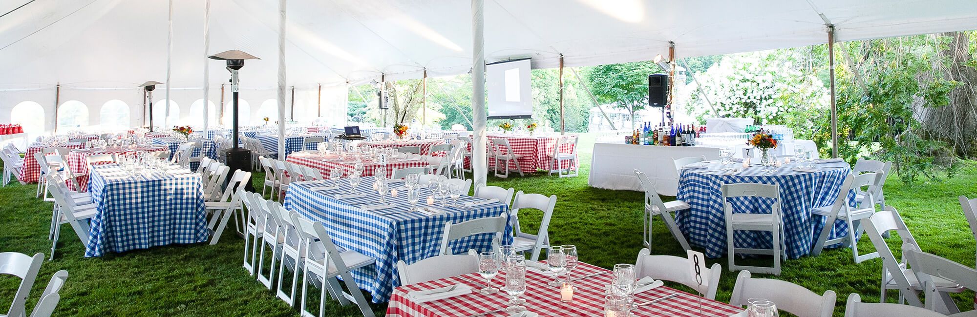 A Corporate Event with red and blue tablecloths