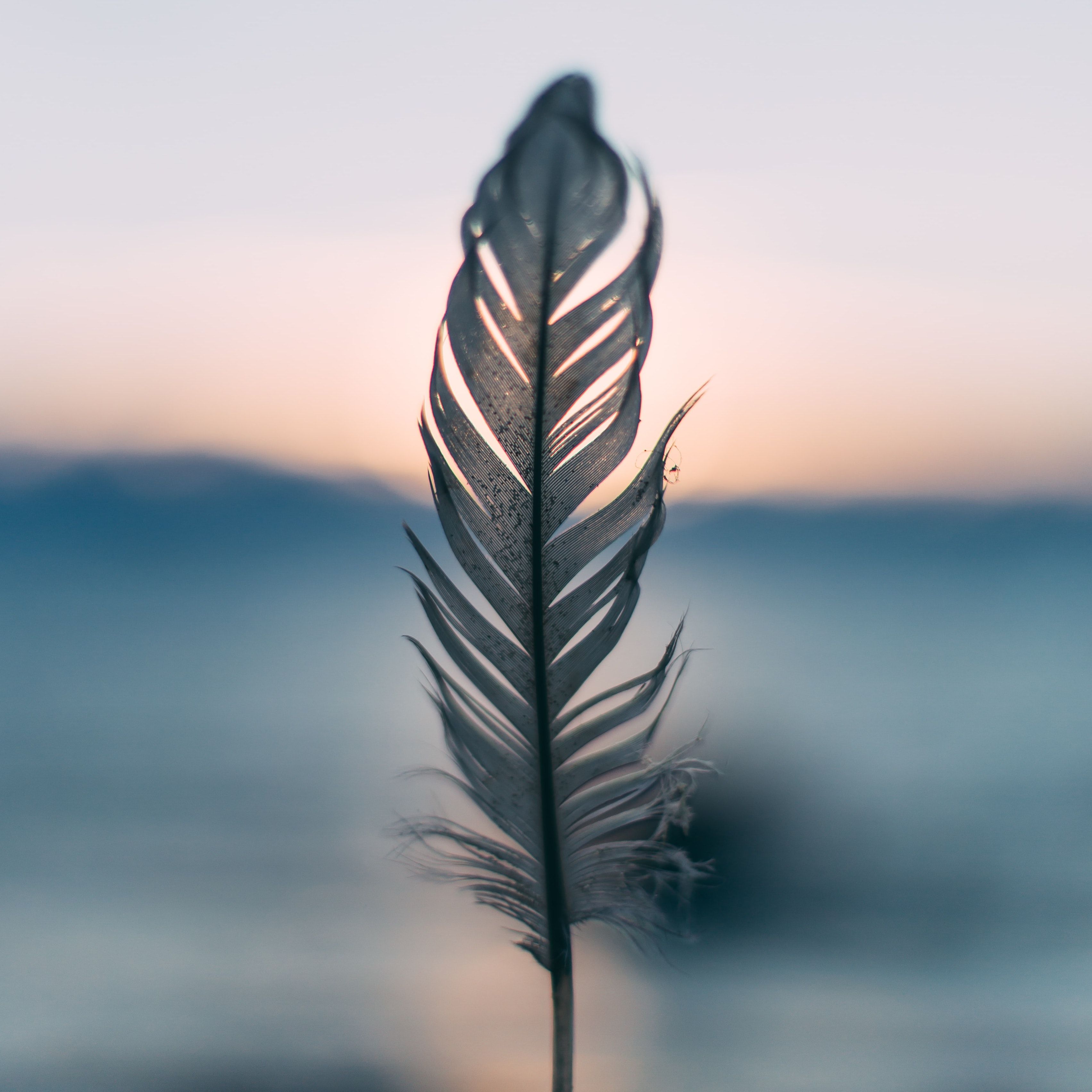 daiga-ellaby-h43VqtlnV7U-unsplash.jpg