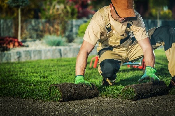 LANDSCAPING.jpg