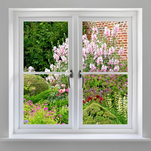 a double hung window looking out on a garden