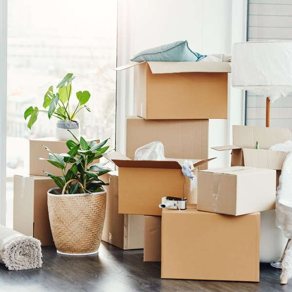 Avoid These Mistakes When Moving - img2.jpg