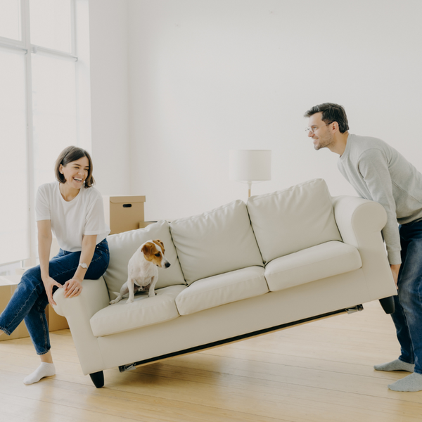 man moving couch while woman sits on it with dog