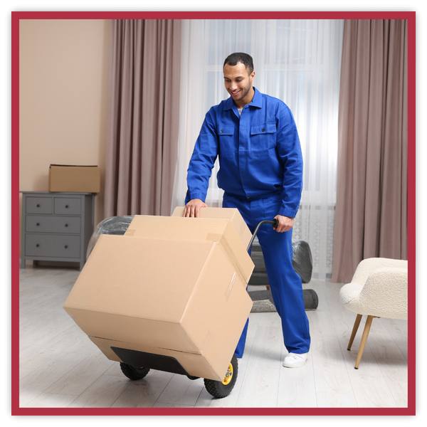 Professional Mover