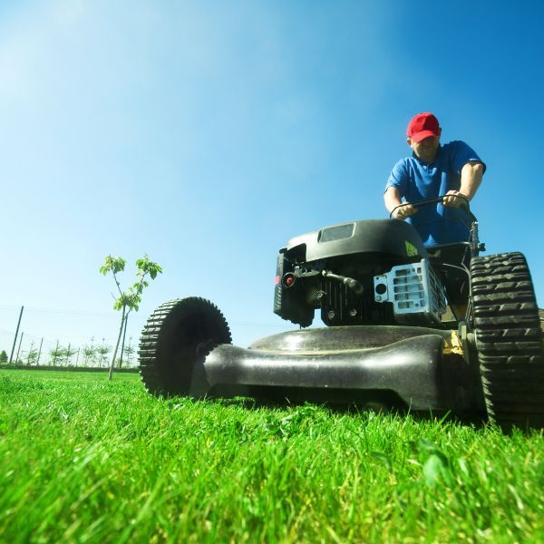lawn mowing lawn mowing