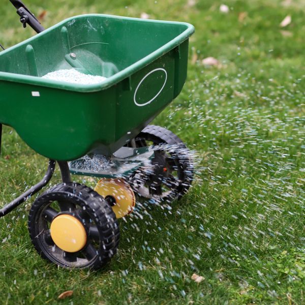 lawn fertilizing lawn fertilizing