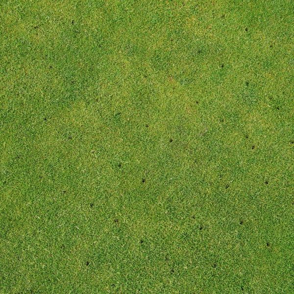 Aerated grass lawn
