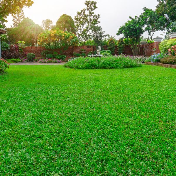 lush, green lawn lush, green lawn