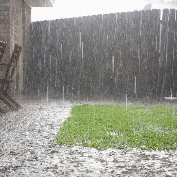 A backyard during a heavy rain storm