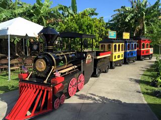 Trackless-Train-with-LED-Lights-58f68ccc7085c.jpg