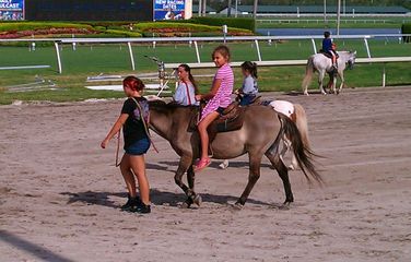 Pony-Rides-170127-588b7c1cd44da.jpg