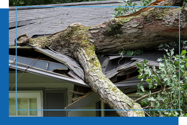 Nassau Location 3.png