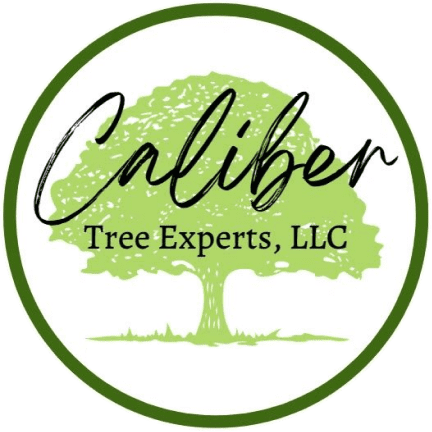 Caliber Tree Experts, LLC Blog Caliber Tree Experts, LLC Blog