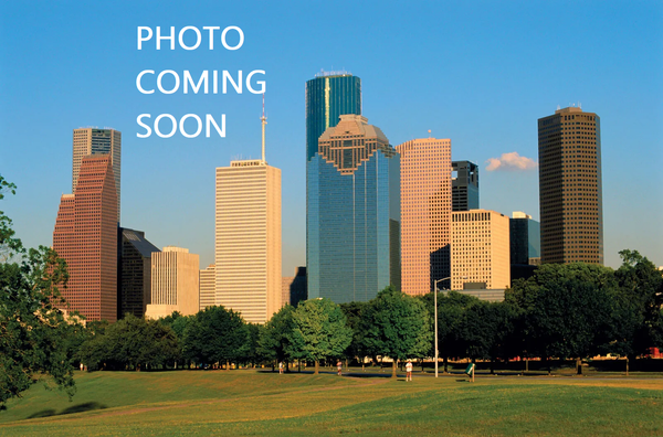 HOUSTON SKYLINE photo coming soon.png