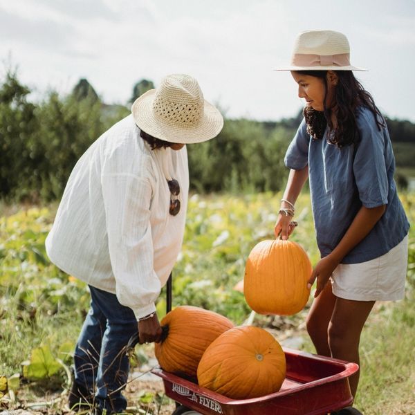 Discover the Magic of Our Family-Friendly Pumpkin Patch - Image 3.jpg