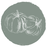 pumpkins icon