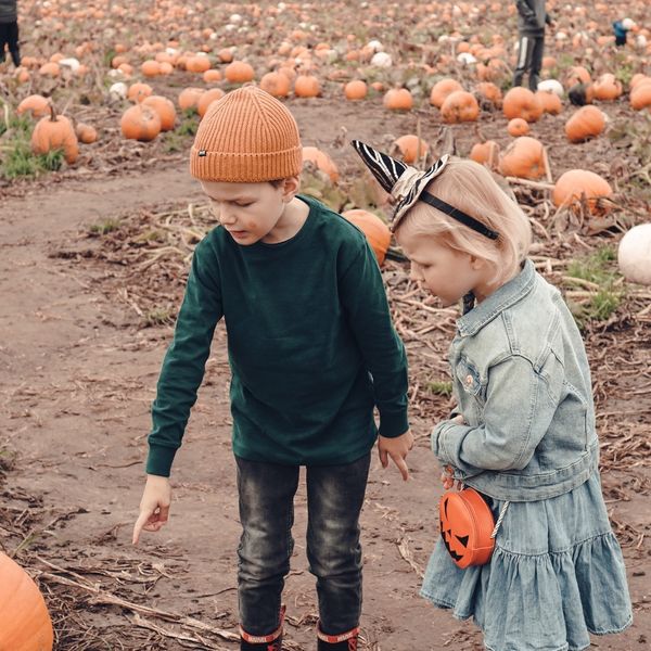 Discover the Magic of Our Family-Friendly Pumpkin Patch - Image 1.jpg