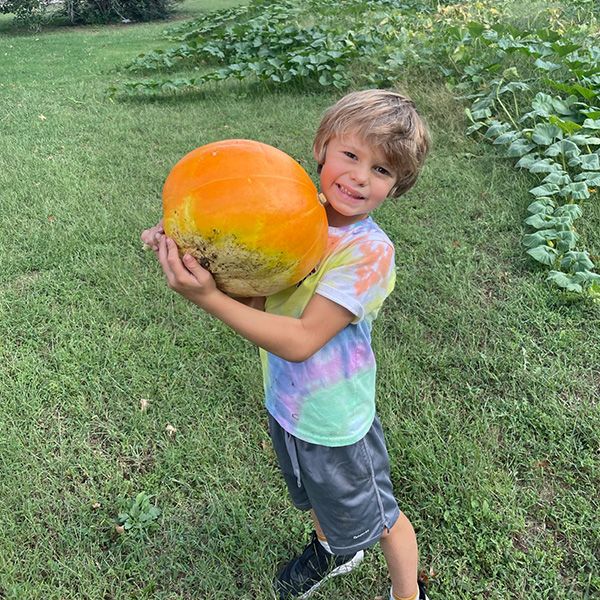 child holding pumpkin