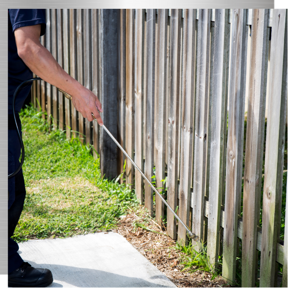 Spraying wood fence for termites