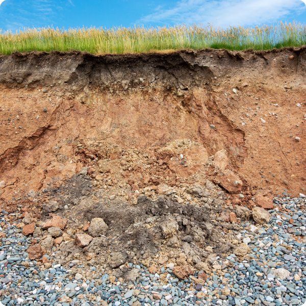 Rocks and other sediment.