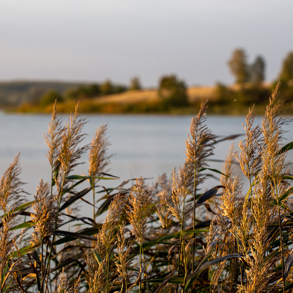 AdobeStock_389669024.jpeg