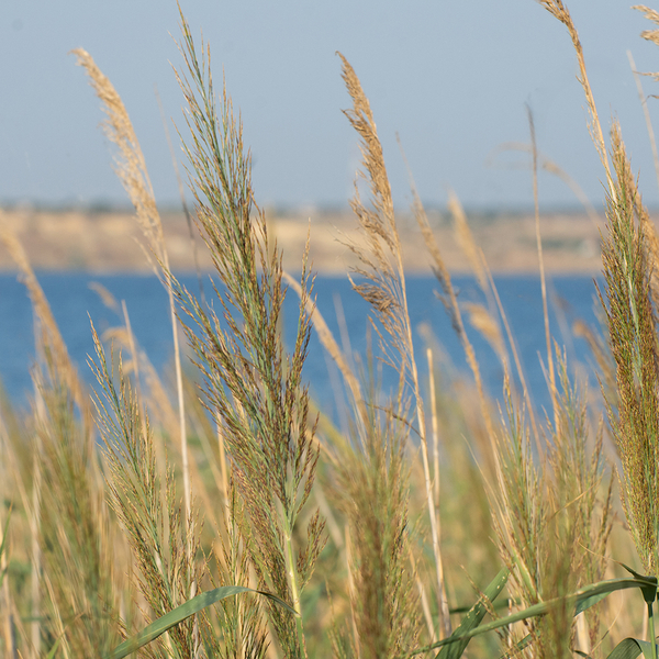 AdobeStock_1192751532.jpeg