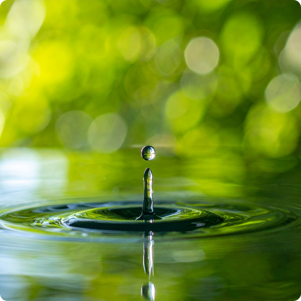 water droplet water droplet