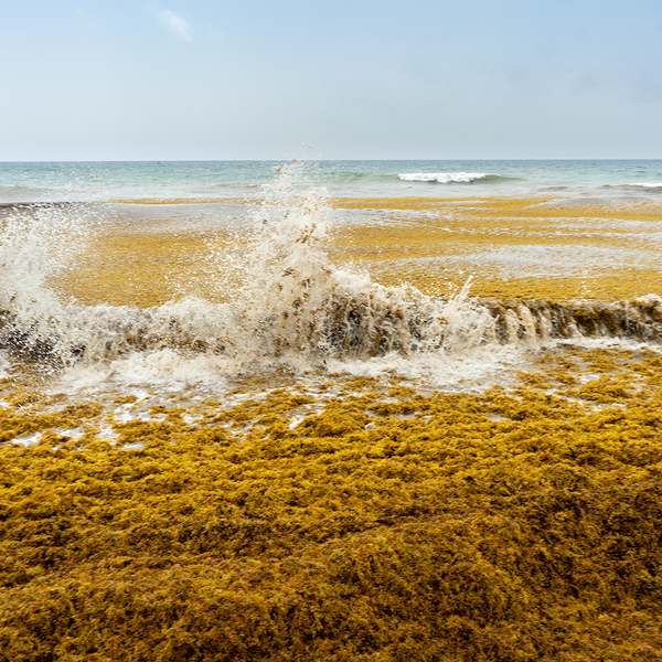 AdobeStock_217959840.jpeg