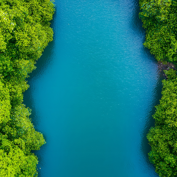 AdobeStock_1081382659.jpeg