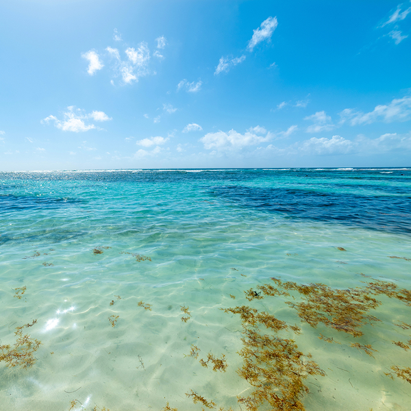 AdobeStock_1173716712.jpeg