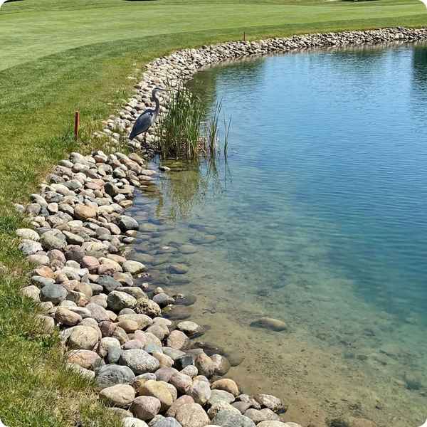 Clear golf course pond Clear golf course pond