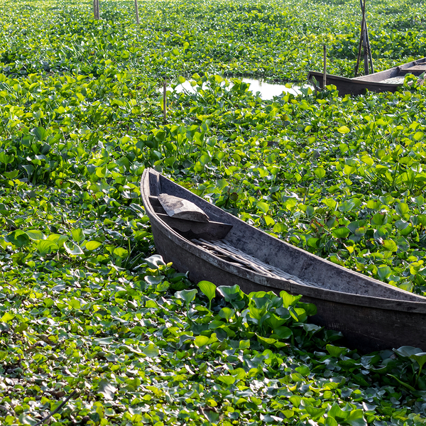 AdobeStock_492040500.jpeg