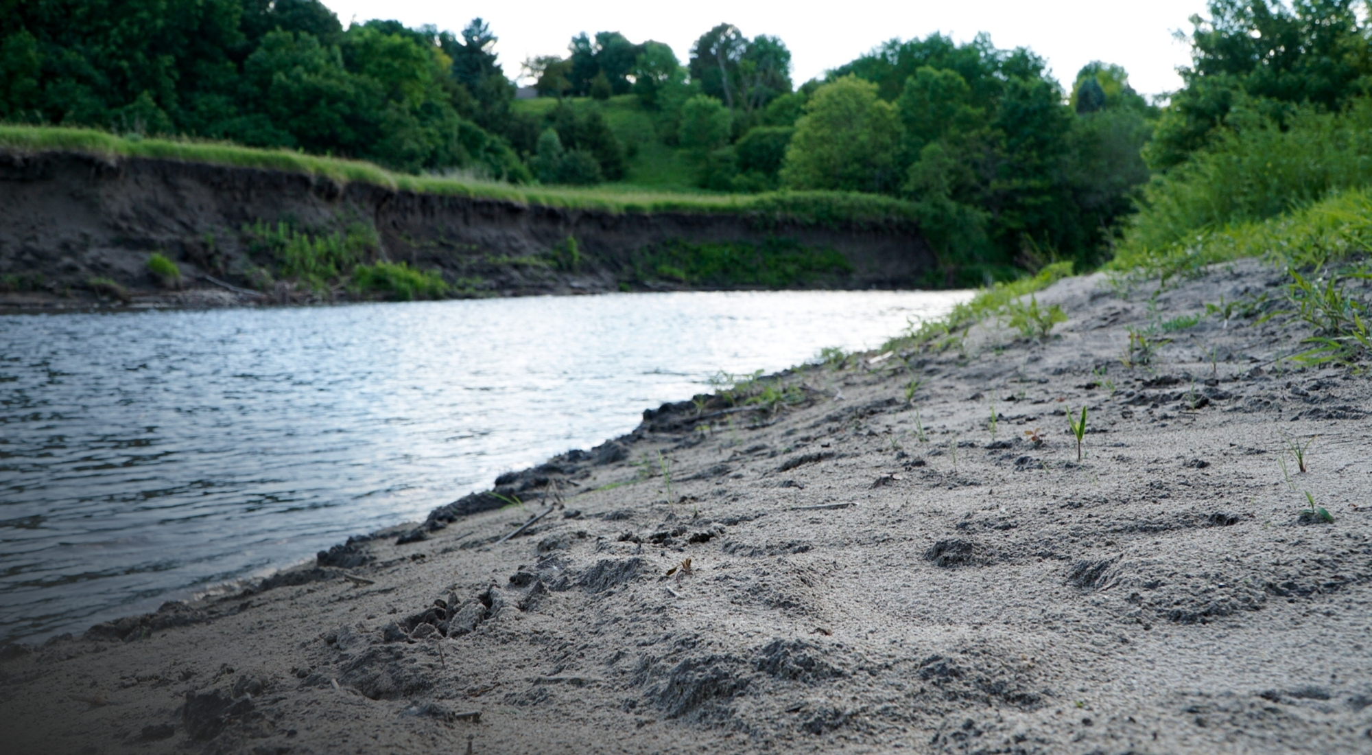 clean river bank clean river bank