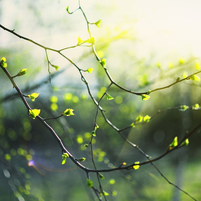 AdobeStock_393750806.jpeg