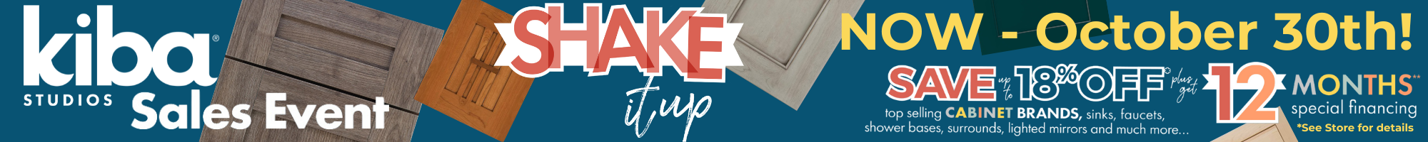 Shake It Up Website Banner.png